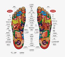 双脚足底穴位图