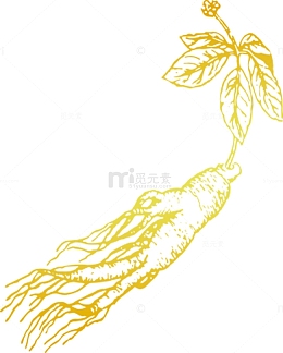 人参