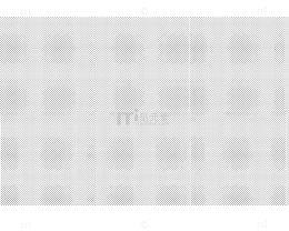 点状网格纹理
