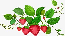 红色卡通草莓植物树叶