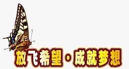 破茧成蝶的过程