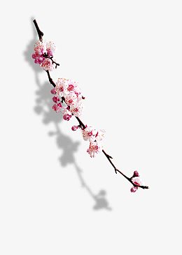 一枝梅花