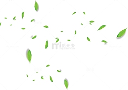 落叶 绿色