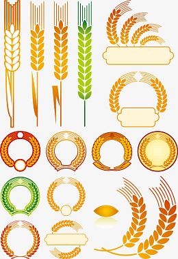 矢量金色麦穗图形
