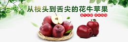 天水花牛苹果淘宝banner