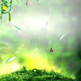 草地丛林蝴蝶