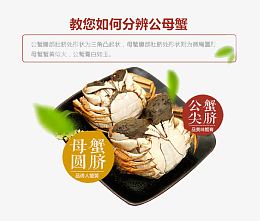大闸蟹详情页主图