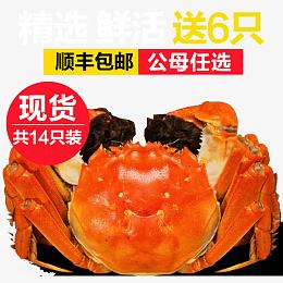 大闸蟹河蟹主图