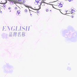 宝贝主图