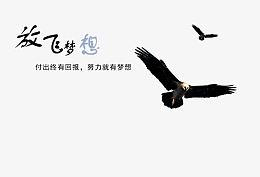 放飞梦想