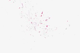 科技图片光影特效 紫色炫酷光点