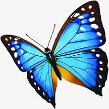 春天蓝色纹理光效蝴蝶