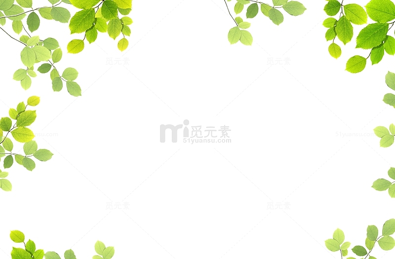 春天边框绿叶装饰