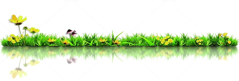 绿色环保草地倒影花朵美景
