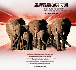 一群大象强势不可挡