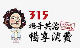 矢量315携手共治畅享消费