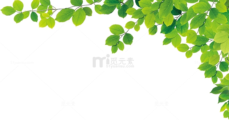 绿色树叶边角装饰