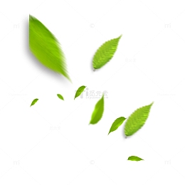 绿色落叶