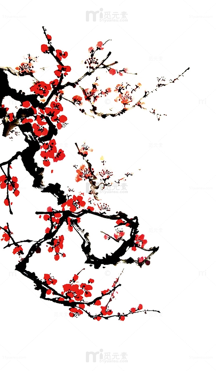红色中国风国画手绘梅花