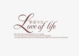 挚爱今生