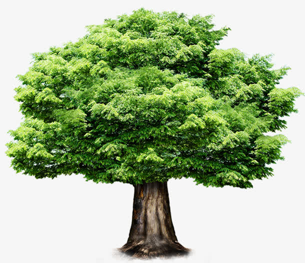 春天公益海报大树