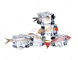 生鲜