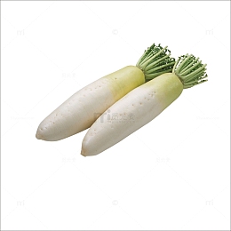 生鲜白萝卜