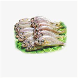 生鲜小黄鱼