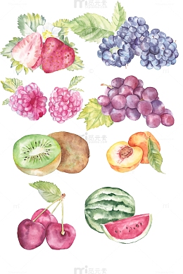 手绘水彩水果插画设计素材