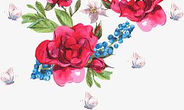 水彩玫瑰花