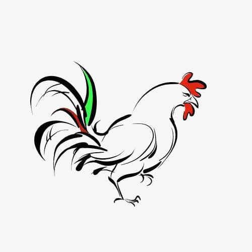 手绘公鸡矢量