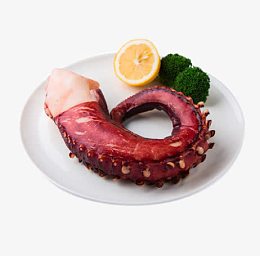 八爪鱼足