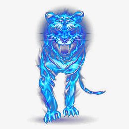 老虎免抠图片