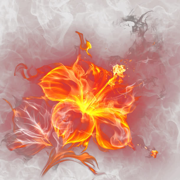 关键词 : 花卉,火花,火星,火焰,火,创意,烈焰,烈火,抽象,创意背景