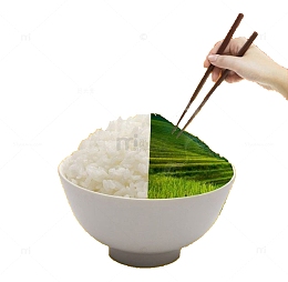 节约公益
