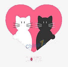 两只可爱小猫
