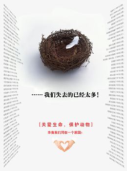 保护动物