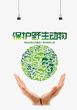保护野生动物