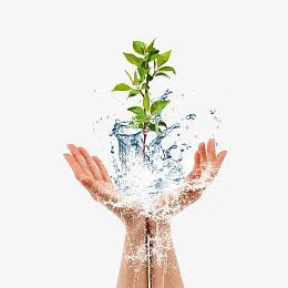 手捧水花与植物