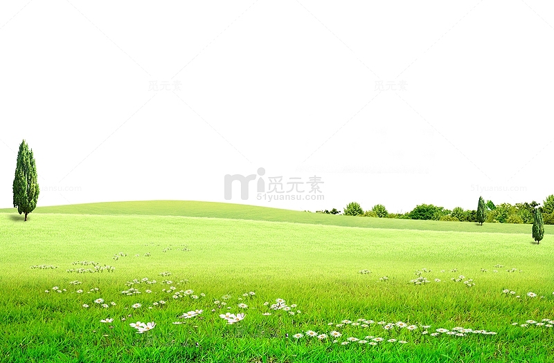 绿色草地背景，草原，花丛，大自
