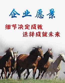 企业愿景