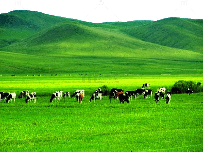 内蒙古呼伦贝尔草原风景图