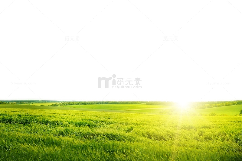 春天美丽的大草原风景高清图片