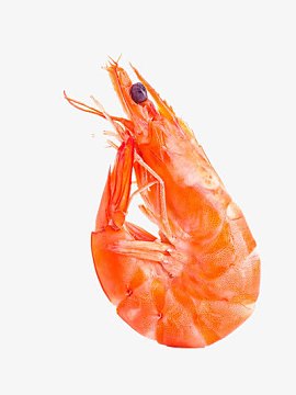 海鲜美食素材_海鲜美食图片元素-觅元素