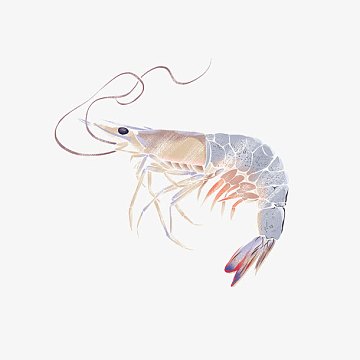 虾米音乐会员素材-虾米音乐会员图片元素-觅元素