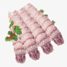 皮皮虾虾肉