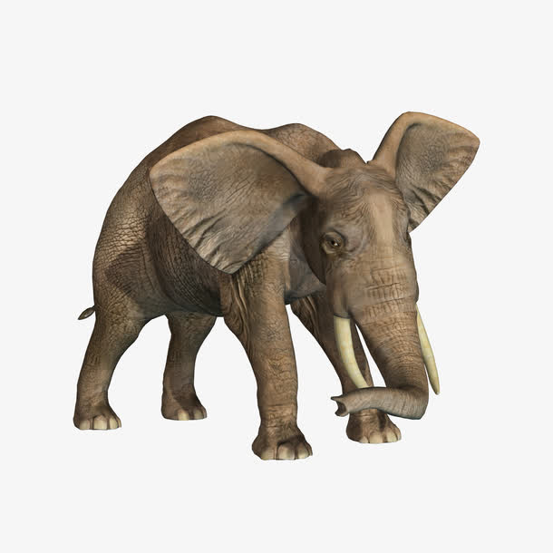 关键词 : 大象,非洲象,草原,野生动物[声明] 觅元素所有素材为用户