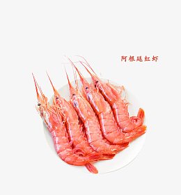 阿根廷红虾