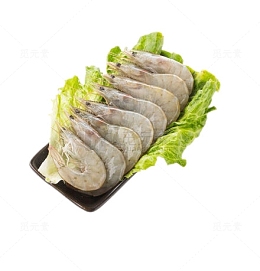 厄瓜多尔白虾