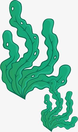海底世界海带海藻植物